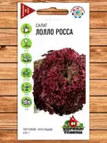 Салат Лолло Росса, листовой бордовый фото Cемена топ