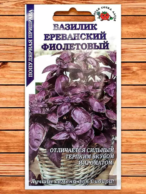 Базилик Ереванский фиолетовый фото Семена топ