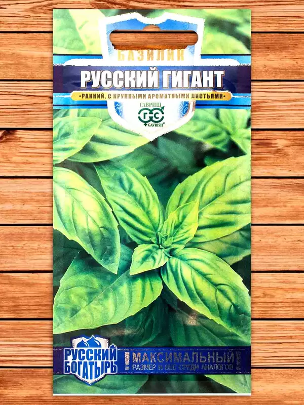 Базилик Русский Гигант зеленый фото Семена топ