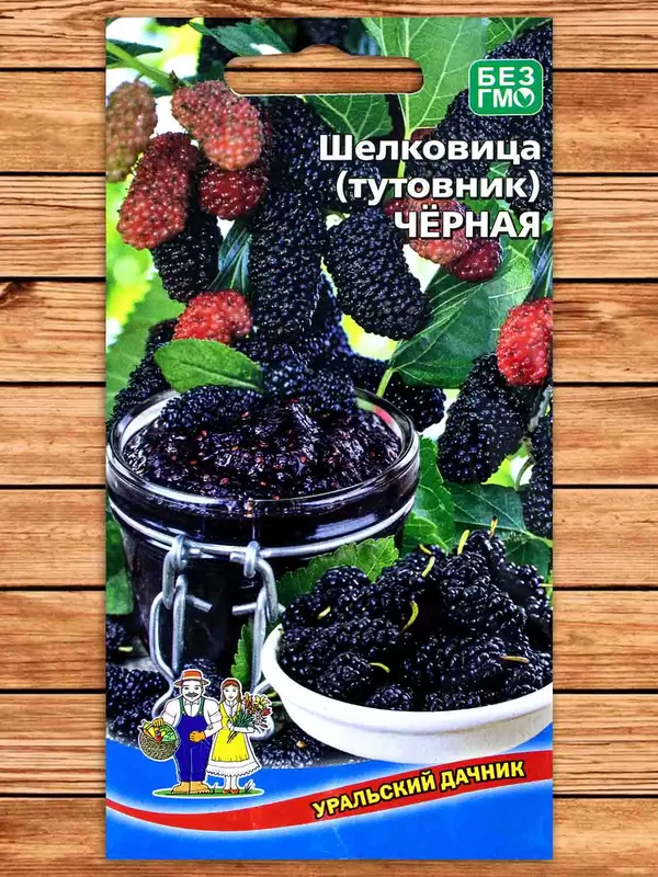 Шелковица (тутовник) Чёрная фото Семена топ