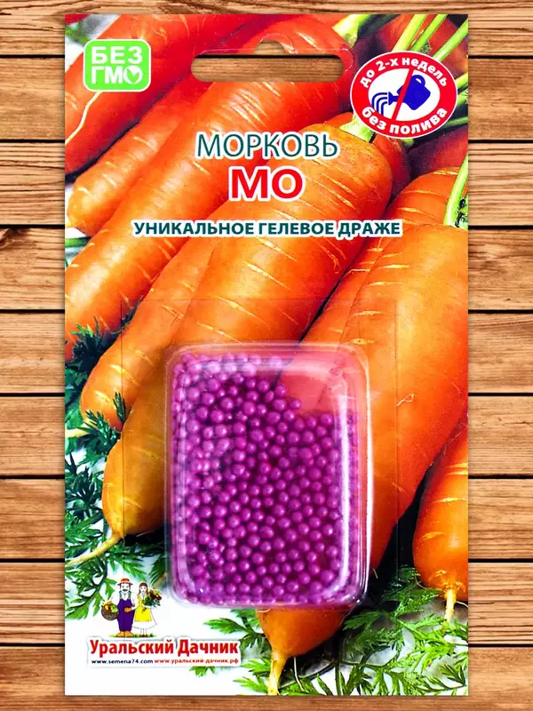 Морковь МО фото Cемена топ