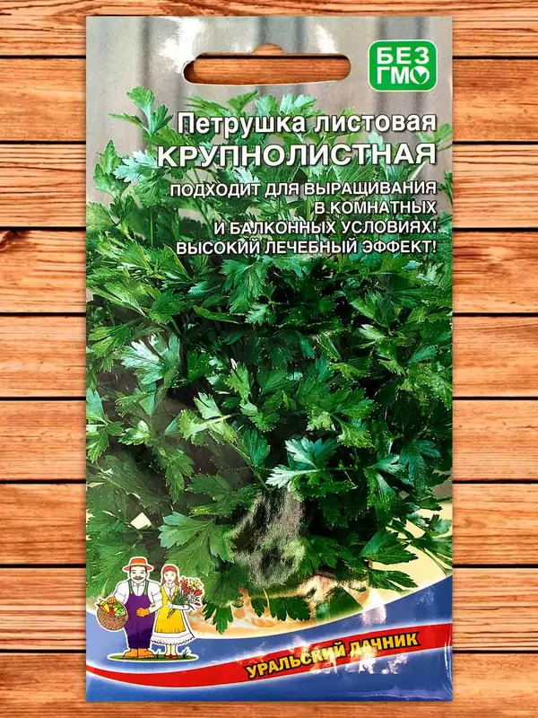 Петрушка Крупнолистная листовая фото Семена Топ