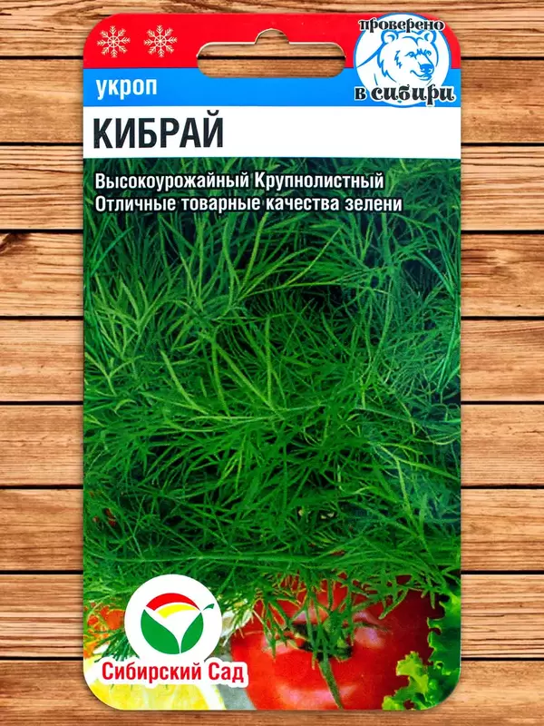 Укроп Кибрай фото семена топ
