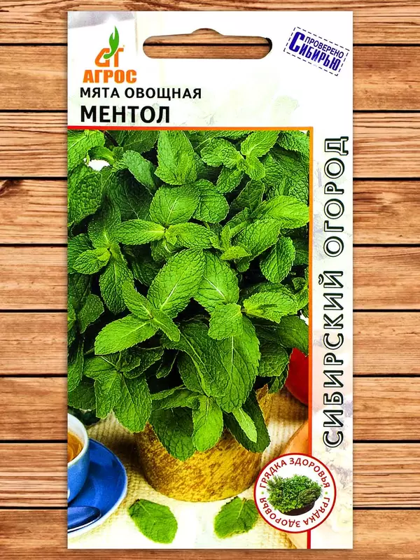 Мята Ментол овощная фото Семена Топ