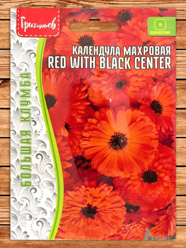 Календула Red With Black Center Большая клумба однолетник фото Семена Топ