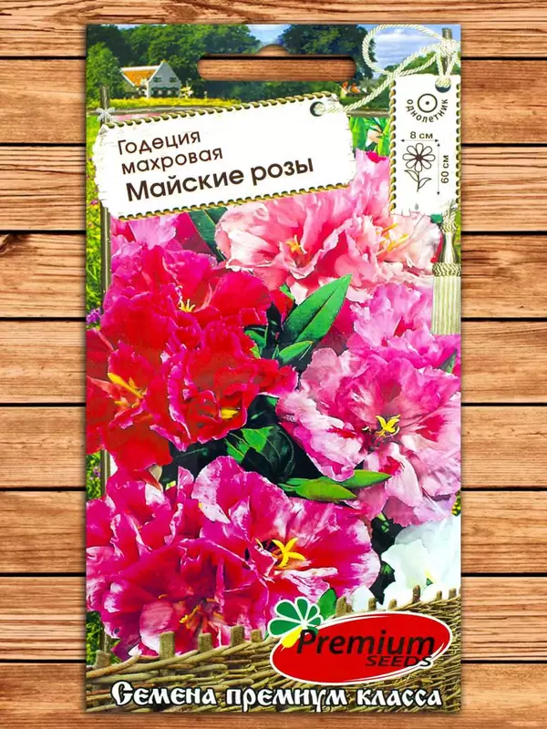 Годеция Майские Розы азалиецветковая фото Семена Топ